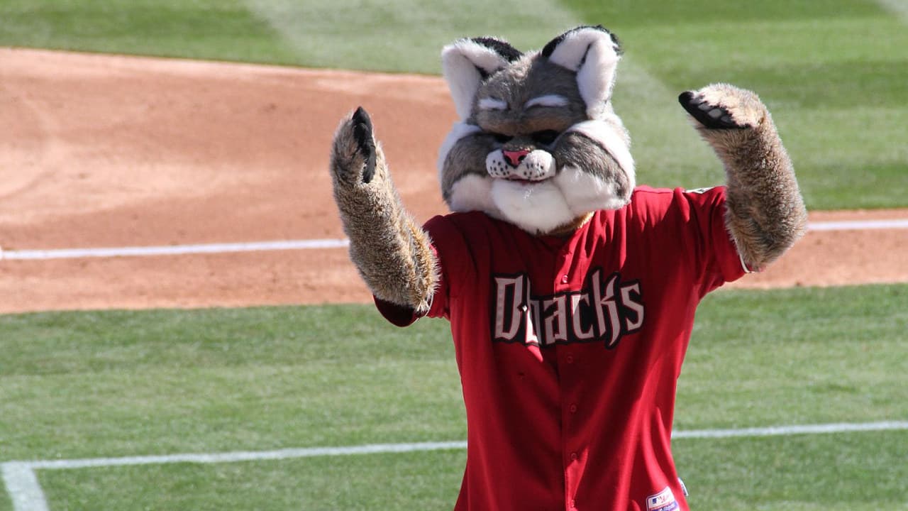 Arizona Diamondbacks