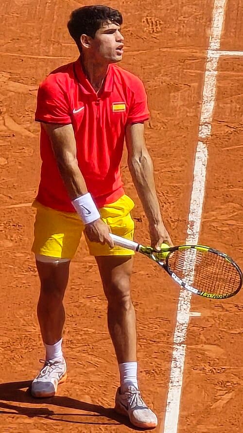 Novak Djokovic vs. Carlos Alcaraz, 2024 Summer Olympics men's singles tennis tournament, 2024-08-04 (263) (cropped)